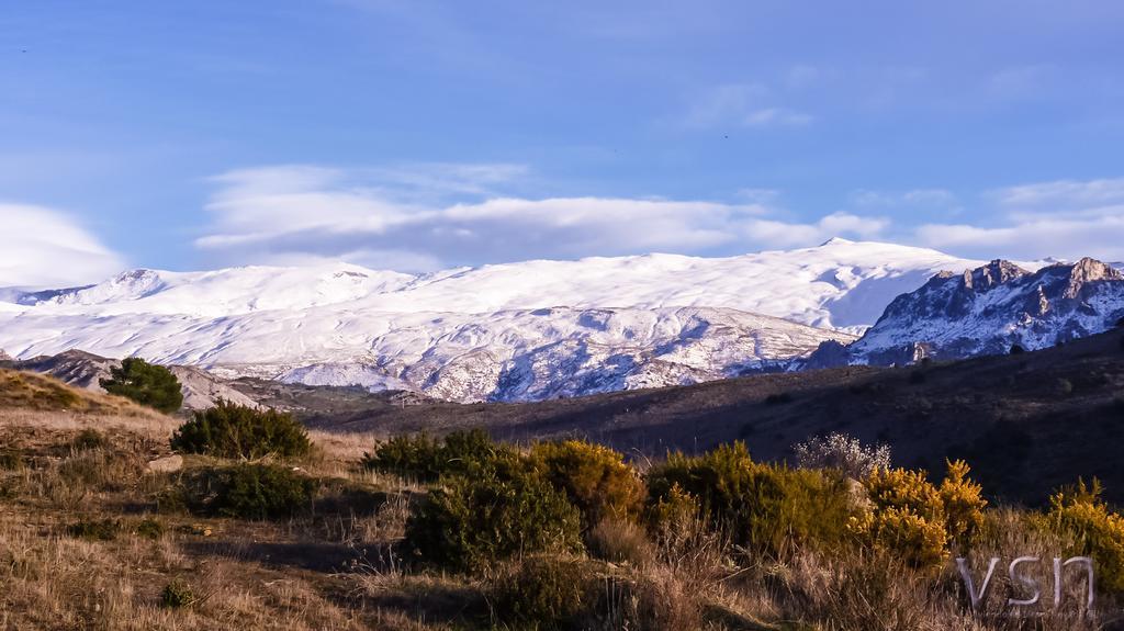 Green Peaks B&B Country House Alojamiento Rural Cortijo de Balsain Dış mekan fotoğraf